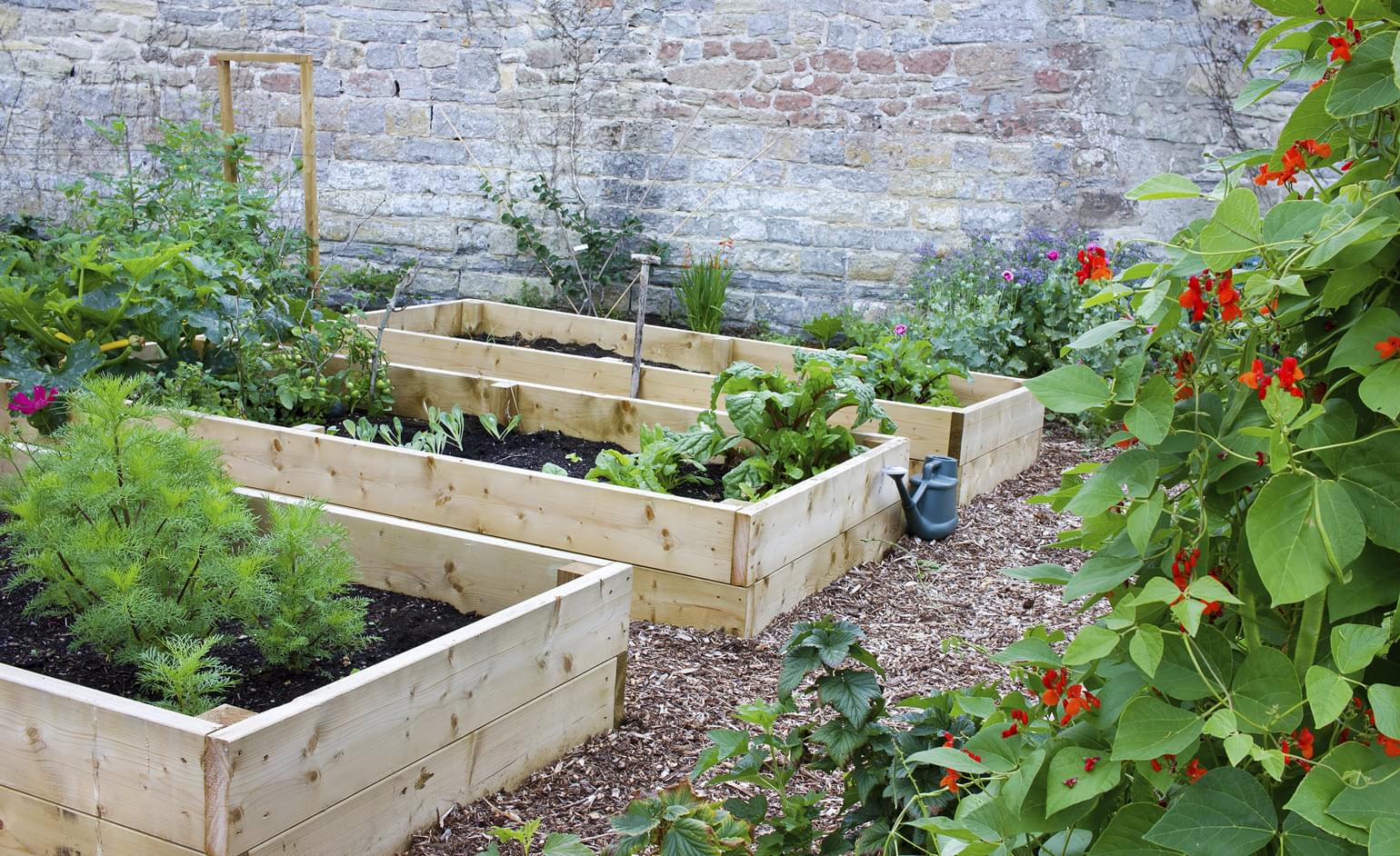 backyard-hacks-2-1540