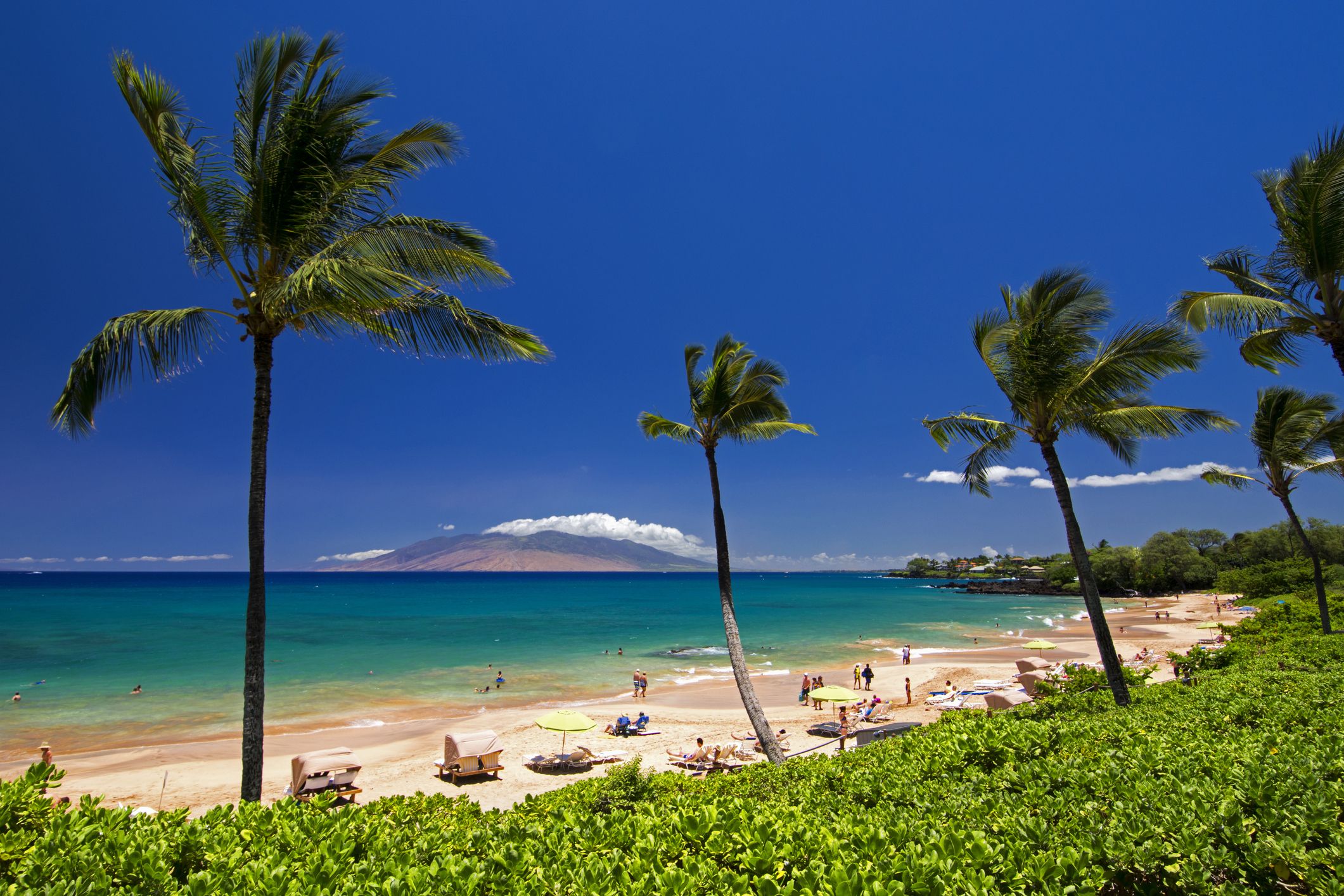 meilleur site de rencontres en ligne à Hawaii