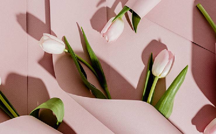 Cinq tulipes reposant sur un tissu rose.