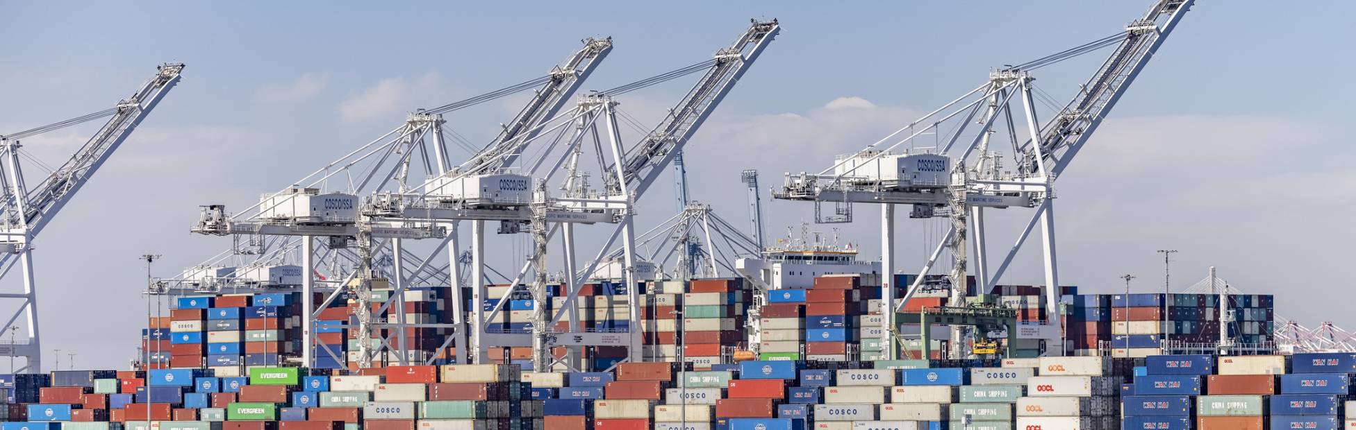 Un port international avec des piles de conteneurs maritimes et de grues