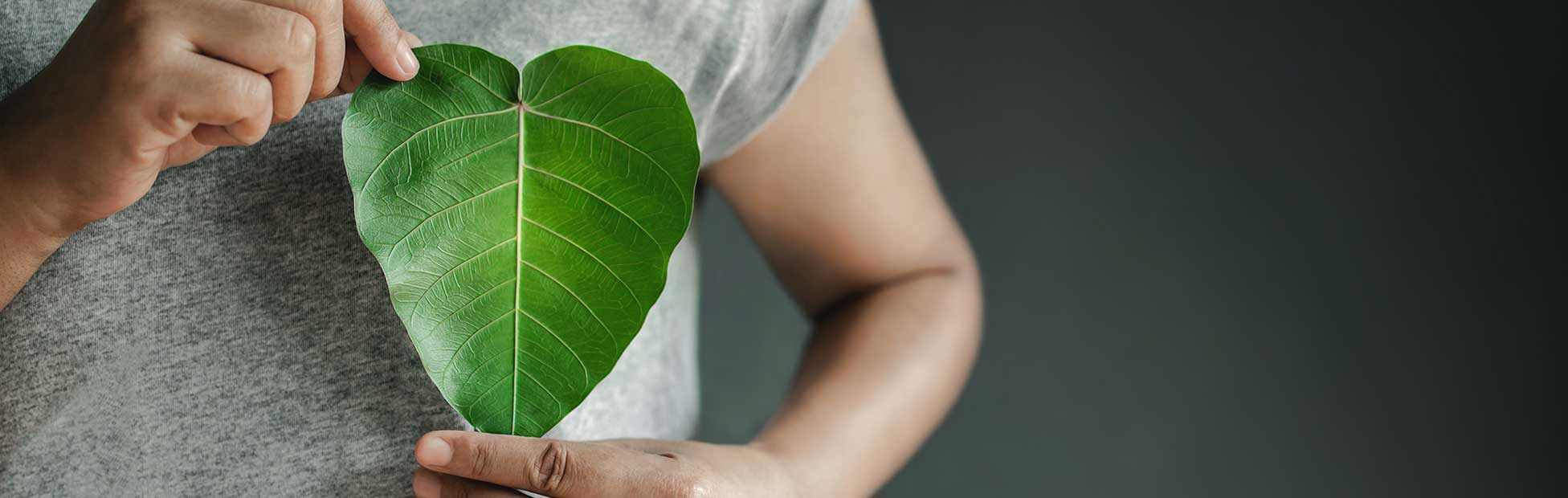 Une personne tenant une feuille