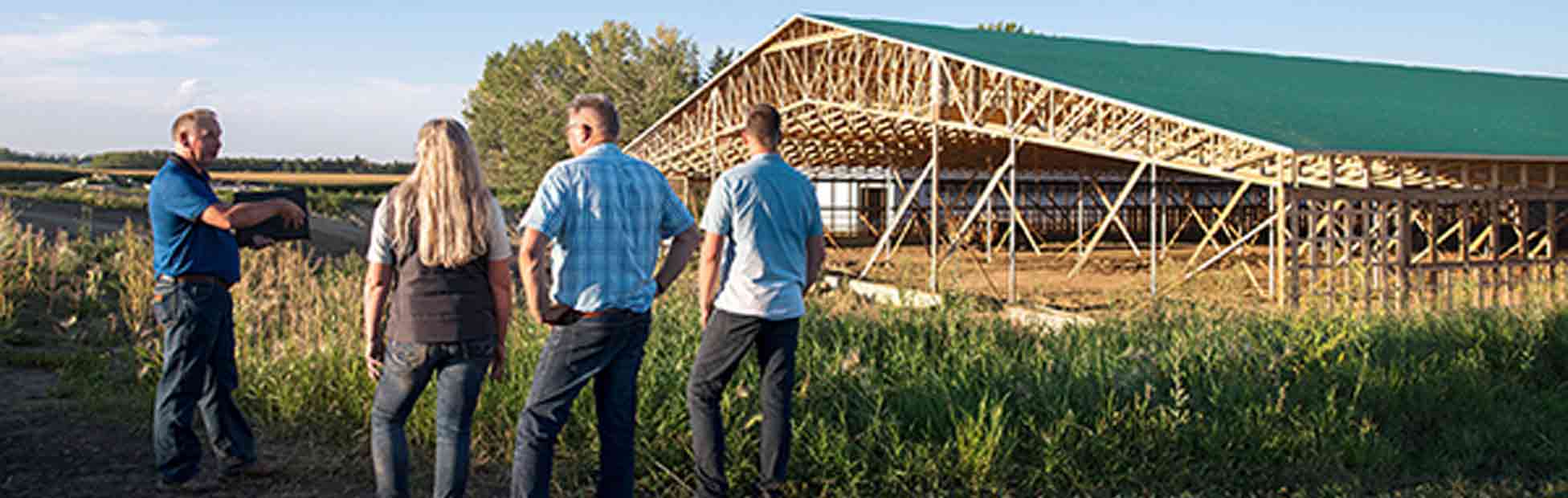 Les agriculteurs se tiennent dans un champ pour discuter des opportunités