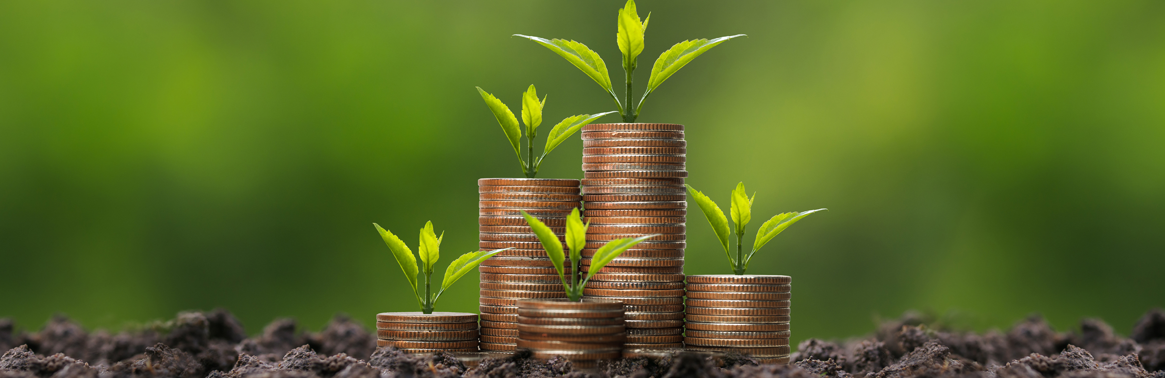 Piles croissantes de pièces avec des plantes vertes qui poussent, symbolisant la croissance financière et l'investissement durable.