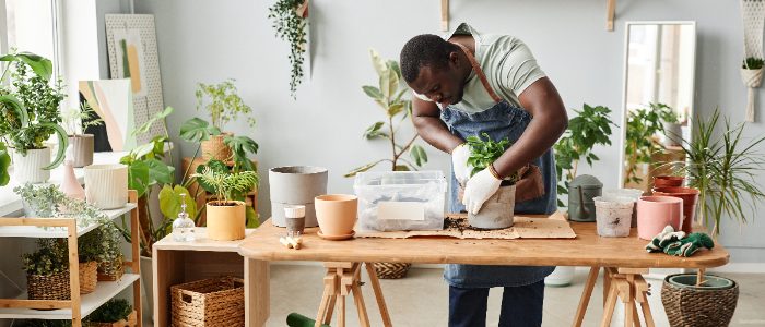 Homme noir sur toute la longueur en tant que jardinier mâle rempotant des plantes à l'intérieur sur une table en bois