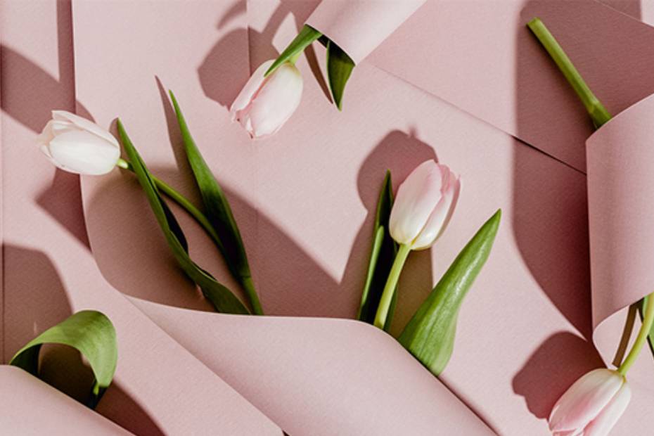 Cinq tulipes reposant sur un tissu rose.